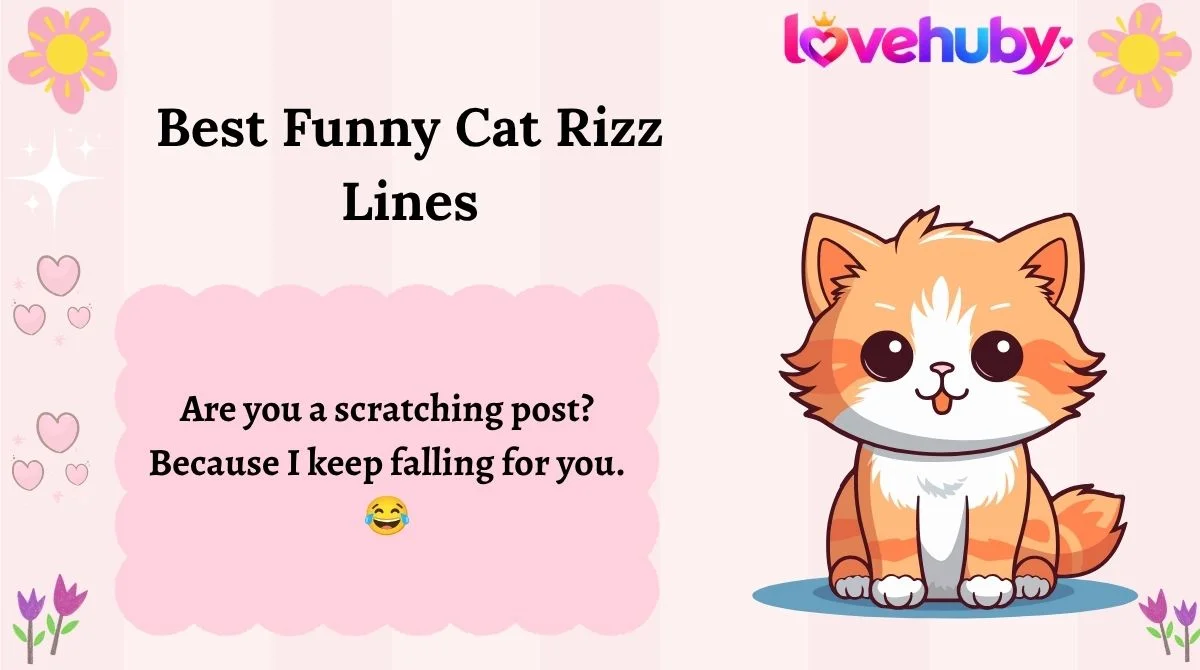 Best Funny Cat Rizz Lines